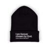 I am a Son of The King Beanie, Men Christian Embroidered Beanie, Men’s Cuffed Beanie, Unique Christian Gifts for Him