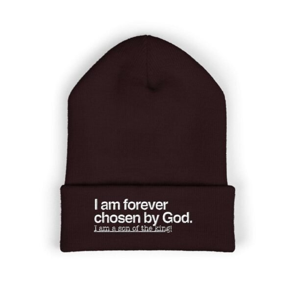 I am a Son of The King Beanie, Men Christian Embroidered Beanie, Men’s Cuffed Beanie, Unique Christian Gifts for Him